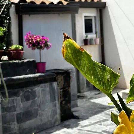 Cortile Santa Caterina